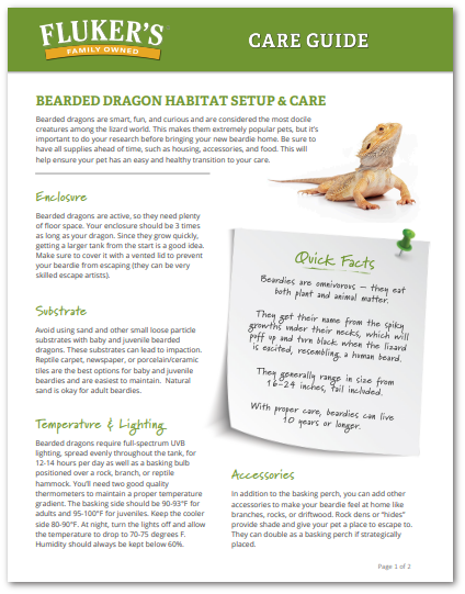 Image of Fluker's Care Guide for Bearded Dragons