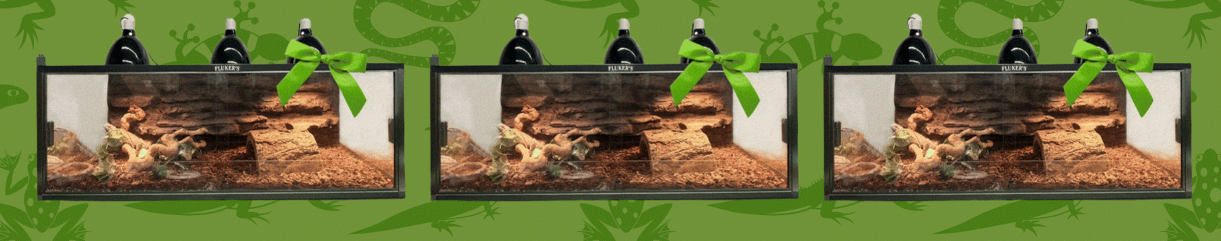 New Fluker's Terrarium- Image of three terrariums on Green Reptile Background